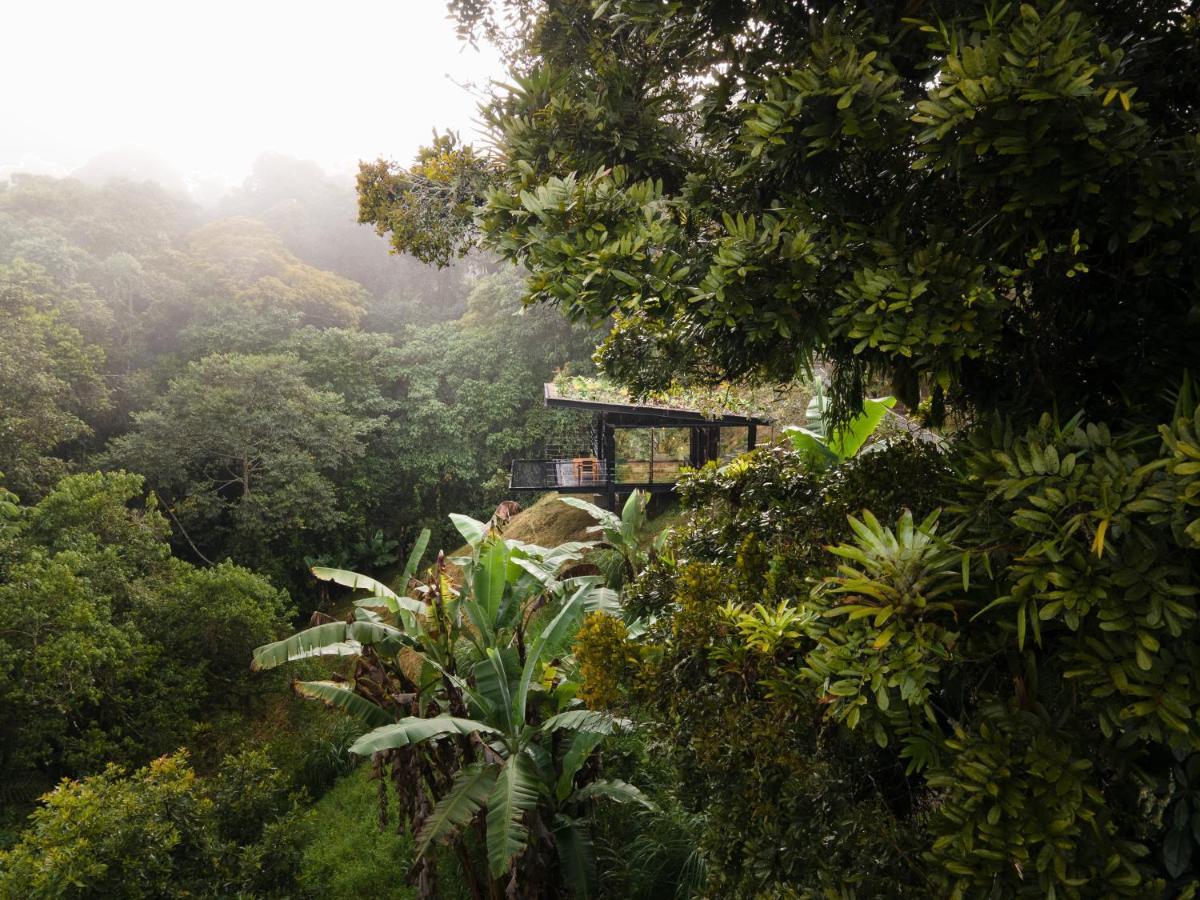 Bio Habitat Hotel Luna Park Bagian luar foto